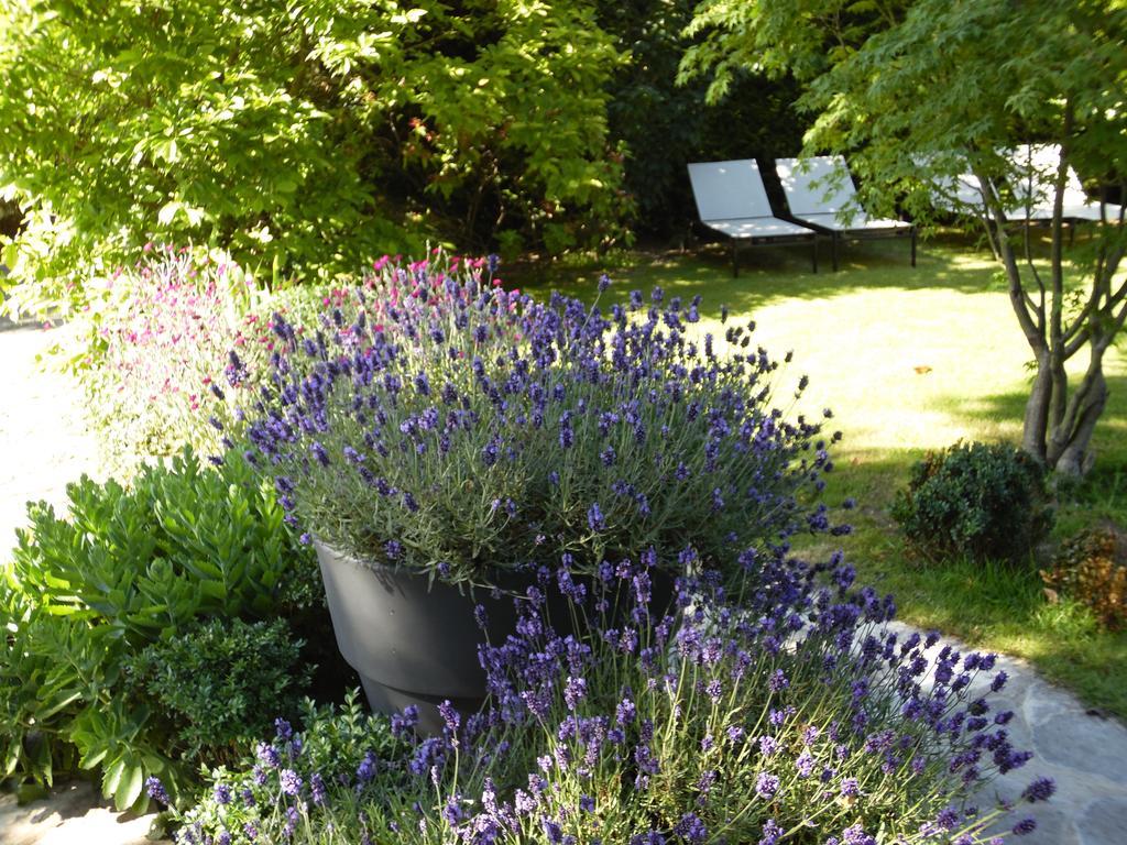 Bed & Breakfast La Clepsydre Fontenay-aux-Roses Exterior foto